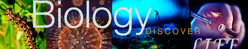 BIOLOGY THE LIFE SCIENCE